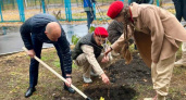 Школьники Курска высадили 12 вишен в честь первого отряда космонавтов СССР