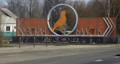 Бывшая первая замглавы Самары возглавила восстановление приграничья Курской области