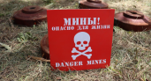 Сводный пиротехнический отряд МЧС обезвредил 18 взрывоопасных предметов за сутки в Курской области