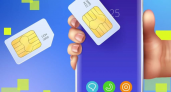 Максимум 20 SIM-карт: в Курской области вводят лимит до 1 ноября под угрозой отключения всех номеров