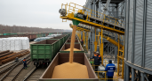 227,7 тысяч тонн зерна: Курская область нарастила железнодорожный экспорт на четверть