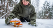 Декабрьские грибы: миколог рассказал, какие виды еще можно найти в лесу.