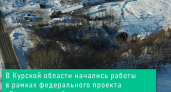 Курская область начинает борьбу с экологической угрозой: три района очистят от опасных свалок по указу Президента
