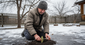 Кидаю лаврушку прямо в землю: бабушкин секрет, от которого земля оживает ещё до наступления весны
