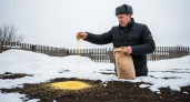 Дешевле навоза в 10 раз: копеечная крупа из супермаркета превращает землю в пушистый ковер уже к весне