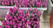 Тюльпаны по 180 рублей за штуку: почему 8 Марта бьёт по кошельку 
