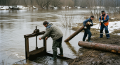 Курская область готовится к паводку 2026: каждый спиленный ствол на счету