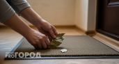 Лавровый лист под ковриком у двери — простой трюк, который решает проблемы в доме за копейки