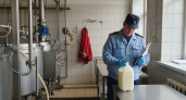 ООО «Сырная долина» под Курском нарушило контроль качества молока