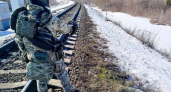 Добровольцы «Барса» за неделю разминировали 105 км железной дороги в Курском приграничье