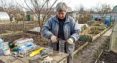 Каждую весну мои пластиковые бутылки становятся десятью нужными вещами для огорода