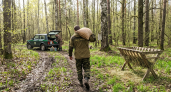 158 рейдов за неделю: в Курской области выявили 26 нарушений охоты