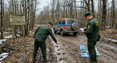 158 рейдов за неделю: в Курской области поймали 26 охотников-нарушителей