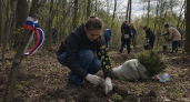 В Железногорском районе заложили «Сад памяти» из 6000 дубов и сосен