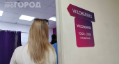 Ozon и Wildberries под ударом: дешёвые вещи с Китая могут исчезнуть — конец эпохи