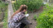 Посадили — и зря: какие ошибки в мае губят урожай даже у опытных дачников — что сажать, а что лучше отложить