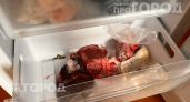 Ваше мясо испортится раньше времени: узнайте реальные сроки хранения в морозилке для каждого вида продукта