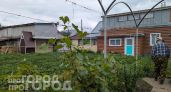 Копеечное аптечное средство для обильного урожая: поливаю им огород весь сезон и собираю овощи мешками