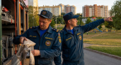 В Курском районе у Северного микрорайона горит трава: угрозы домам нет
