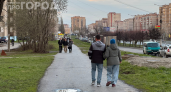 7 мая — Евсеев день: что запрещено, чтобы не потерять удачу и здоровье