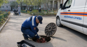 Бывший прокурор возглавила управление ГО и ЧС Железногорска