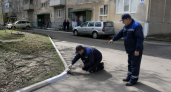 Коммунальщики в Курске нарисовали бордюры краской прямо на траве