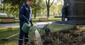 К 9 Мая в парке «Патриот» высадили 450 кустов роз и обновили памятники