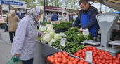 Огурцы и помидоры в Курской области подешевели, капуста выросла в цене