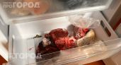 Забудьте о бесконечной разморозке холодильника: одна простая хитрость с уплотнителем избавит от снежной шубы