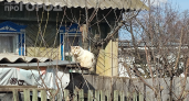 10 мая — сложный день: что нельзя делать на Семена‑Ранопашца, чтобы не потерять деньги и удачу