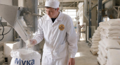 Курская область нарастила производство муки на 14% за первый квартал