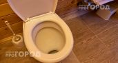 Перестаньте смывать воду с открытой крышкой: вы ежедневно превращаете свою зубную щетку в рассадник бактерий