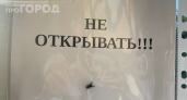 Мухи облетают дом за километр: секрет с кухни, который работает лучше фумигатора