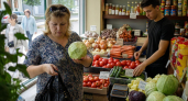 Огурцы и помидоры в Курской области подешевели почти на 13% за неделю