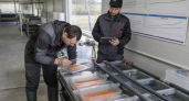500 тысяч икринок радужной форели из Франции вышли с карантина в Курской области