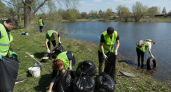 Волонтёры очистили берег пруда в Касторенском районе в рамках «Воды России»