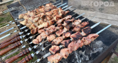 Не подошва, а деликатес: какие маринады реально размягчают мясо — проверьте сами