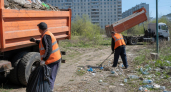 В Курске ликвидируют гектар стихийной свалки — там копился мусор годами