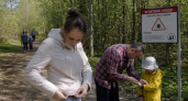 В Курской области за сезон укусы клещей получили 450 человек, треть — дети