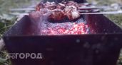 Хватит выбрасывать этот кухонный остаток: с ним даже самое жесткое мясо превращается в нежнейшее лакомство
