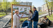41 тысяча курян выбирает парки и скверы для преображения в 2027 году