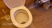 Больше не трачу время на оттирание налета: просто заливаю это средство на ночь и утром унитаз сияет чистотой
