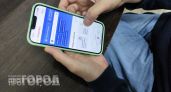 Звонок якобы из поддержки Ozon лишит вас доступа к Госуслугам: как распознать обман до потери всех денег