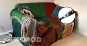 Больше не трачу часы на уборку: купила в Чижике ручной пылесос за 600 рублей и забыла про пыль в углах