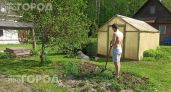 Провел тест с полотенцем на даче и ужаснулся результату: вот как за пять минут найти всех опасных клещей