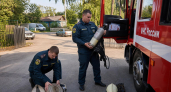 10 пожаров за сутки в Курской области: среди пострадавших — житель Поныровского района
