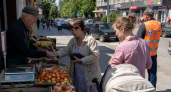 В Курске 9 июня пройдут слушания по бюджету за 2025 год