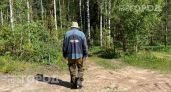Мошка прогрызает любую одежду: простое средство из аптеки защитит от укусов надежнее дорогих флаконов