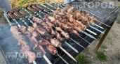 Добавляю одну горсть в угли перед жаркой мяса: теперь шашлык получается идеальным и совсем не подгорает