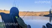 Природа дает сигнал за минуты до беды: если лягушки резко умолкли у водоема немедленно уходите подальше